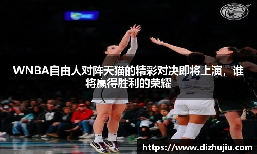 WNBA自由人对阵天猫的精彩对决即将上演,谁将赢得胜利的荣耀